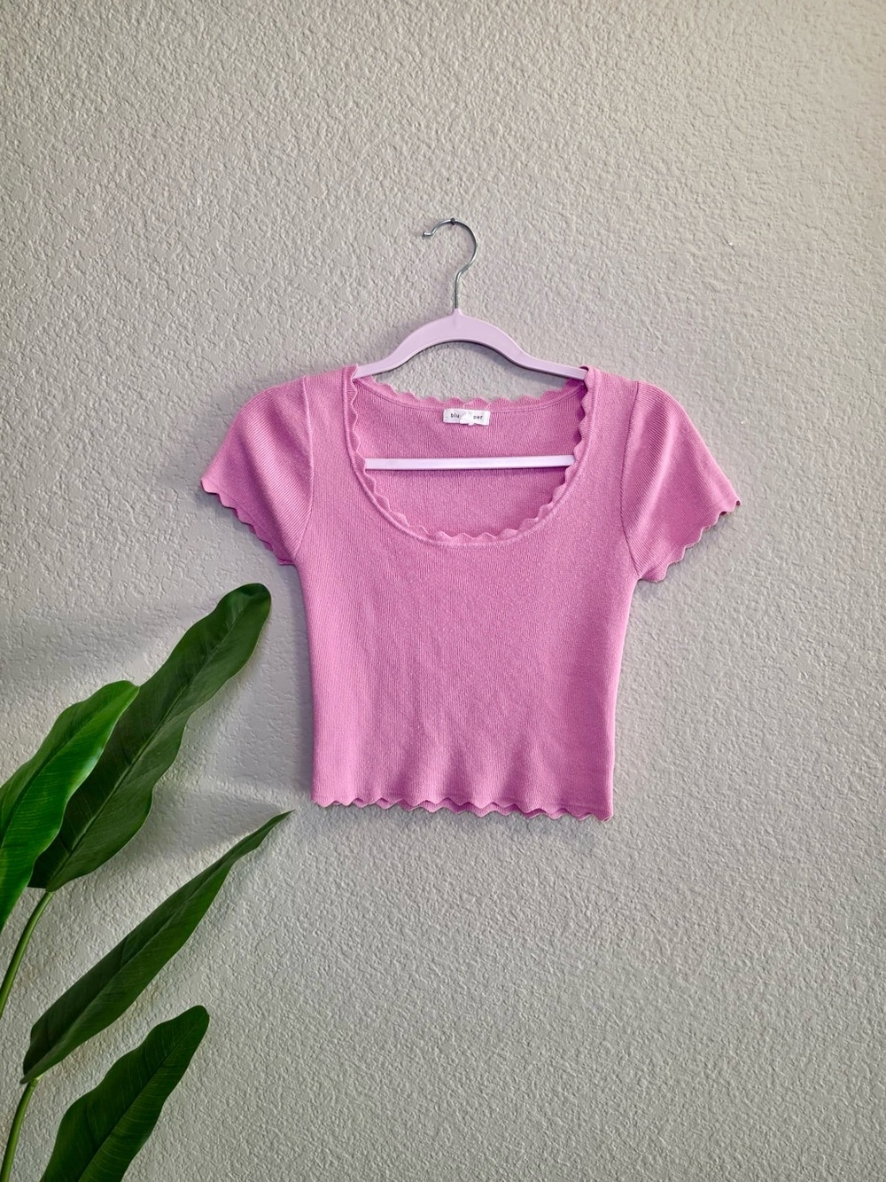 Pink Scalloped Scoop-Neck Ribbed Crop Top